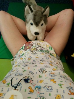 xorcub:  Watching toons with my husky. ^.^
