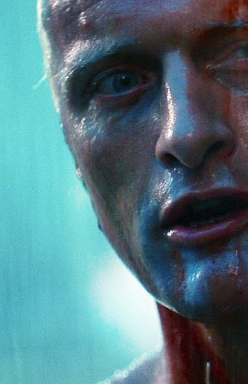 krash-zone: 4thvoid:  Blade Runner (1982)  Because it’s my favorite movie I feel this compulsion to reblog it…  Yeah, one of the best movies of all time. Really can’t not reblog xD There are people who haven’t seen Blade Runner, and they…