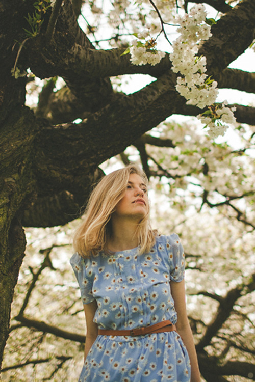 sound-ofscreams:  △Vintage △Nature △ Photography Blog 