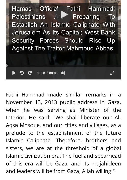 So, Other Than Calling People Antisemites, Do You Have Any Actual Arguments Against Palestine? Do You