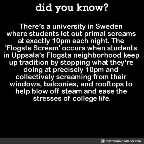 did-you-kno: There’s a university in Sweden  where students let out primal screams