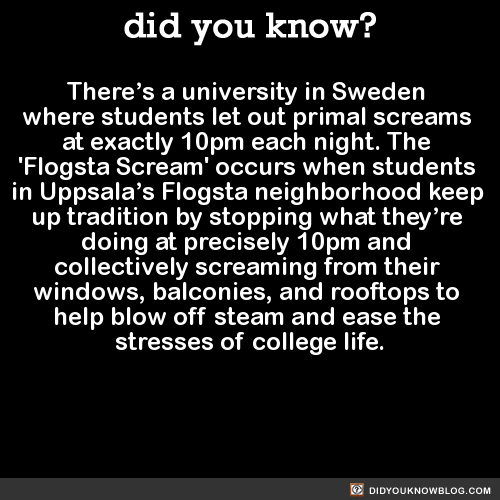 did-you-kno: There’s a university in Sweden  where students let out primal screams  at exactly 10pm each night. The  ‘Flogsta Scream’ occurs when students  in Uppsala’s Flogsta neighborhood keep  up tradition by stopping what they’re  doing