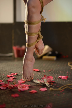 gorgone-kinbaku:   In ropes you shall blossom