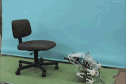 jdragsky:  we-are-star-stuff:  futurescope:  Robofrog jumps on revolving chair  we need to stop making robots nothing good can come of it  bullshit only good can come of this robofrog 