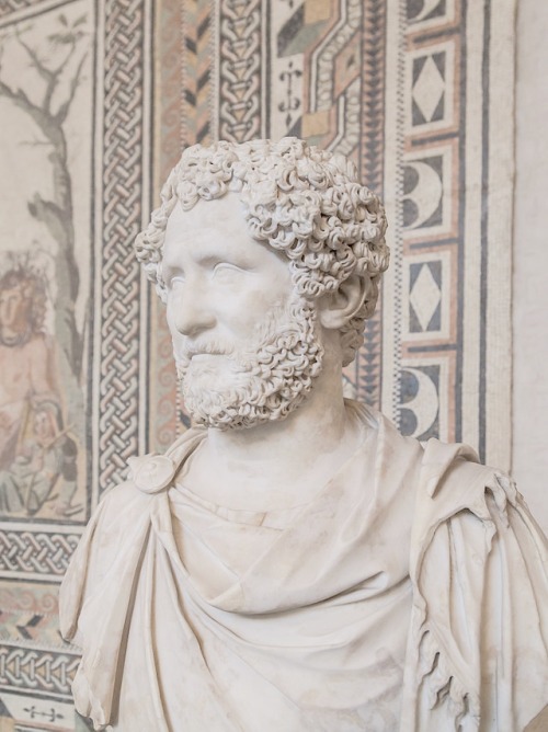 last-of-the-romans:Bust of Roman Emperor Antoninus Pius at the Glyptothek in Munich. 