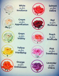 nelladee:  Know your roses guys  Or you just