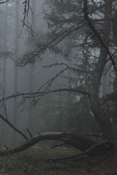 petermorwood:  wurmwood:  X  Photos so atmospheric you can squeeze the moodiness from them like juice from a lemon. I can, anyway… 