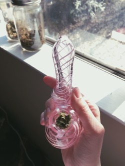 disphoric-and-dismal:  got my bestfriend a cute little bubbler 😽🌸 