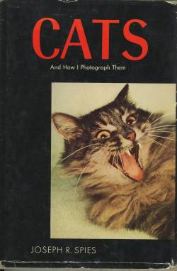 jellobiafrasays:  Cats and how I photograph them (1958) The past truly is another country