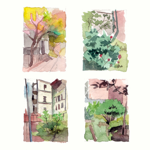 Quick watercolor studies outdoors. 