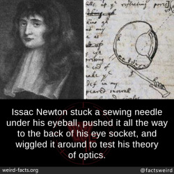 mindblowingfactz:  Issac Newton stuck a sewing needle under his eyeball, pushed it all the way to the back of his eye socket, and wiggled it around to test his theory of optics.