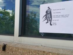 awwww-cute:  The new Bat outside our office