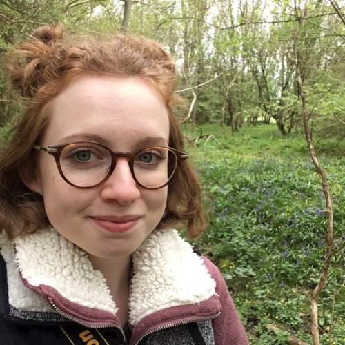 b-blushes: happy wednesday from me, my dog, + the woods!! ✨ we went looking for bluebells, foun