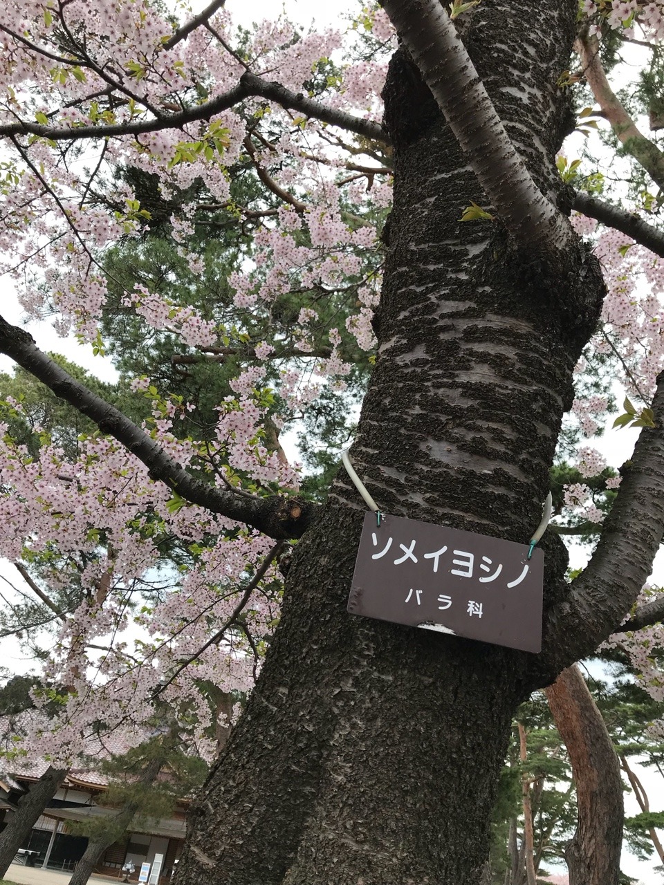 飴と鎖 Explore Tumblr Posts And Blogs Tumgir 飴と鎖 Explore Tumblr Posts And Blogs Tumgir