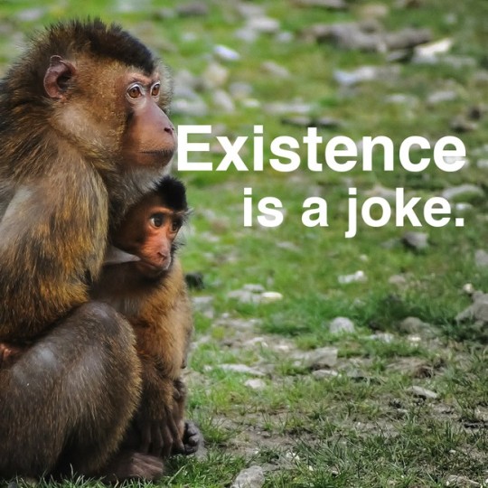 whitesaviorcomplex:  beanpigeon:  thehumorousace:  hawkeyedflame:  its-okae-carly-rae:  flowingblades:  theopjones:  mitigatedchaos:  bunjywunjy:  someone created a random generator that creates randomized inspirational quotes overlaid on random images