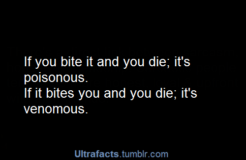 ultrafacts:  gryffinpoor:  dudemanbropants:  gryffinpoor:  thepreciousthing:  the-ordinary-nerd:  ask-or-rp-with-will-petrisous:  squad16:  finalellipsis:  bestnatesmithever:  What if it bites me and it dies?  that means you’re poisonous. jesus christ,