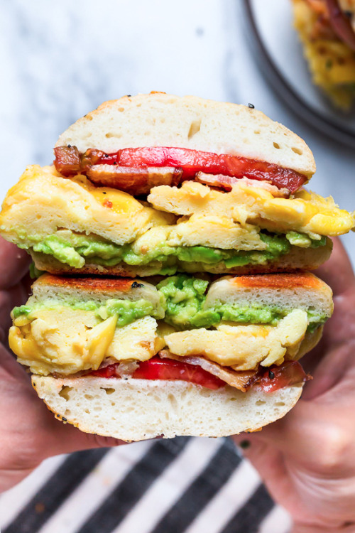 daily-deliciousness:Bacon, egg and avocado breakfast sandwich