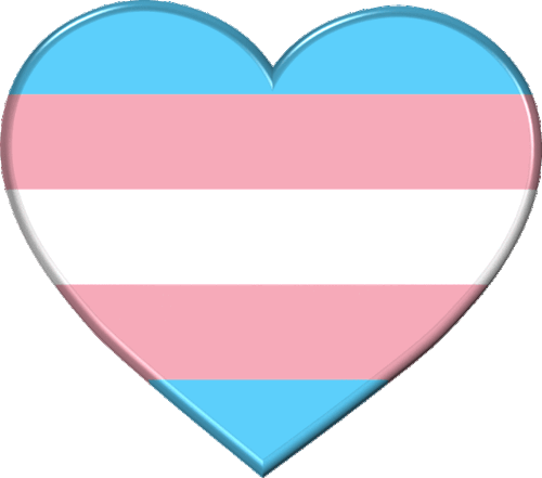t-m-information - Trans at Heart