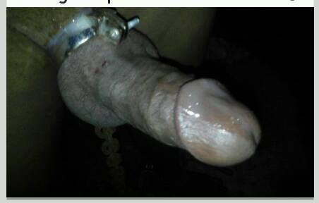 dom4gam:  Indonesian pain slave from Sumatra 
