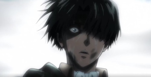 Levi