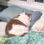 emptyspoonhere