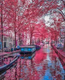 travelingpage:  Amsterdam | Netherlands