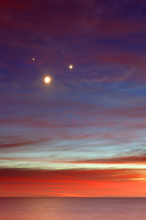 opticallyaroused:  The Moon, Venus, Jupiter and Aldebaran making a square in the sky just before sunrise.   x