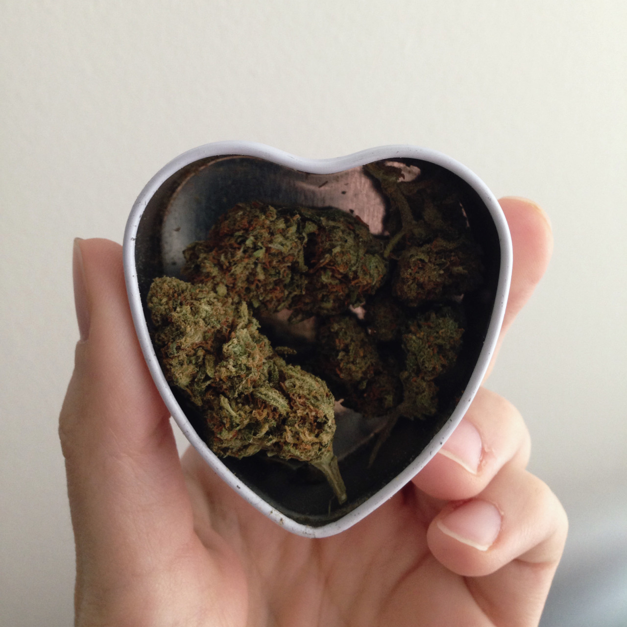 hiniceday:  eluciidate:  just girly things  true love 