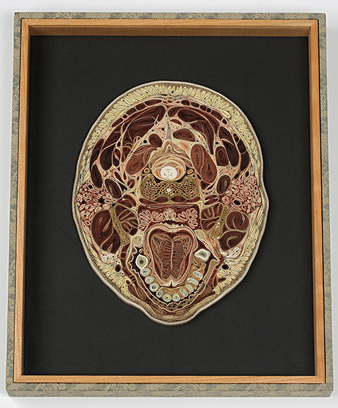 dieselotherapy:   Tissue Series  Anatomical Cross-Sections in PaperThese pieces are made of Japanese mulberry paper and the gilded edges of old books. They are constructed by a technique of rolling and shaping narrow strips of paper called quilling or