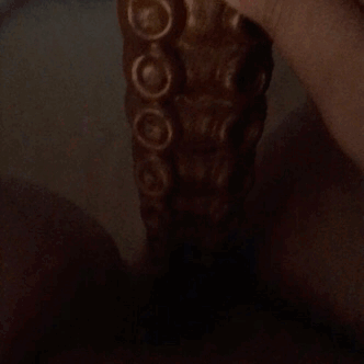 CountessX