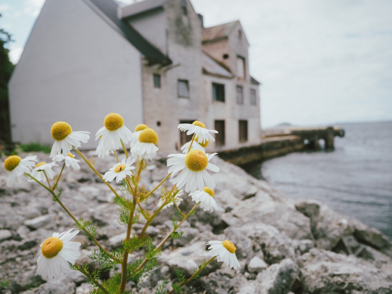 olli-dressler:Photographer: Oliver Dreßler | instagram