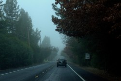 hungeredpine:  Foggy drives bring me peace 