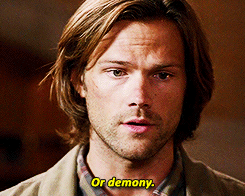 mooseleys:  Recapping Season 9: a busy year