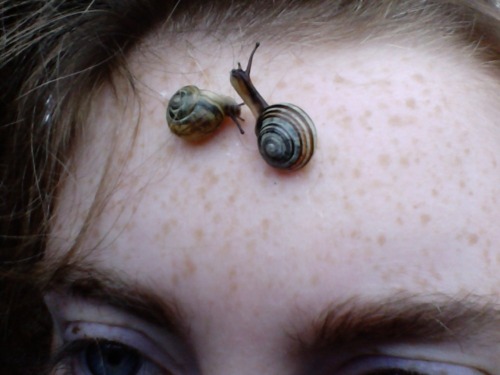 plantpowur: my little brother came into his room and put 2 snails on my face ! 