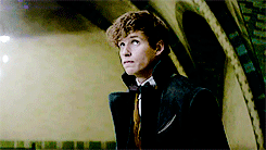 driacomalfoy:  “I have visited lairs, burrows and nests across five continents, observed the curious