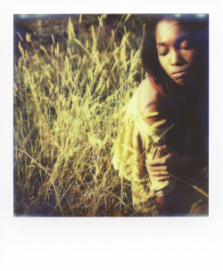 photominimal:  Winter grasses. With Crissa