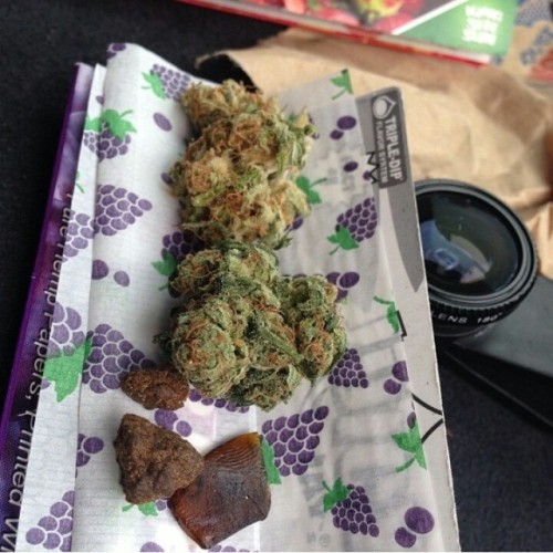 weedporndaily:  Who wants to get high? My man @high5iveuk was one of very few people to taste the orange sour diesel and warlock two very special strains he’s loving the flavour game here!! by budgood http://ift.tt/1fpFeiy