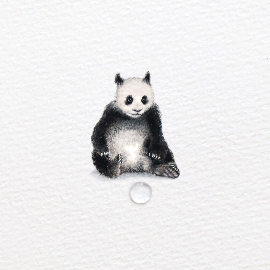 Panda Explore Tumblr Posts And Blogs Tumgir