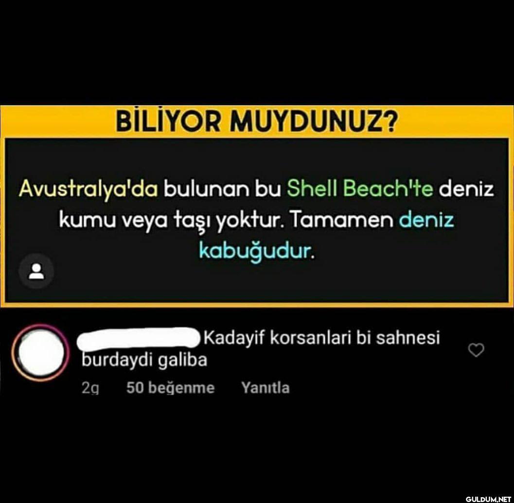 Kadayıf Korsanları . ....