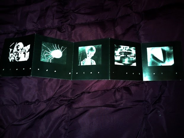Well, some Anon asked me for some pics of Diamanda Galás album &lsquo;Schrei