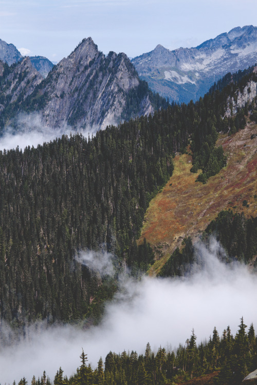 lastinq:  //nature// 