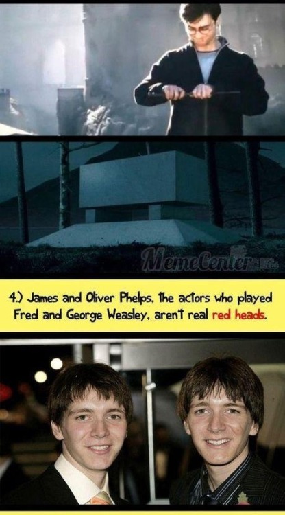 priaposts: Harry potter facts.