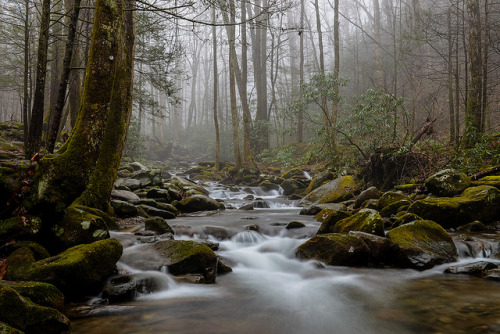 90377: Gatlinburg_20131208_ED15 by Natwick on Flickr.