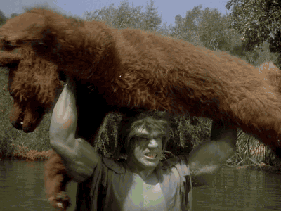 gameraboy:  Remember when The Hulk fought a bear?  Yeah, that happened. From The Incredible Hulk, 1x02 Death in the Family. GIFs by gameraboy.