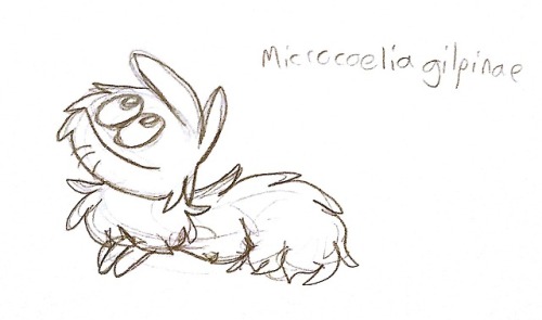 fluffy loaf, and an orchid name I need to remember to shop for