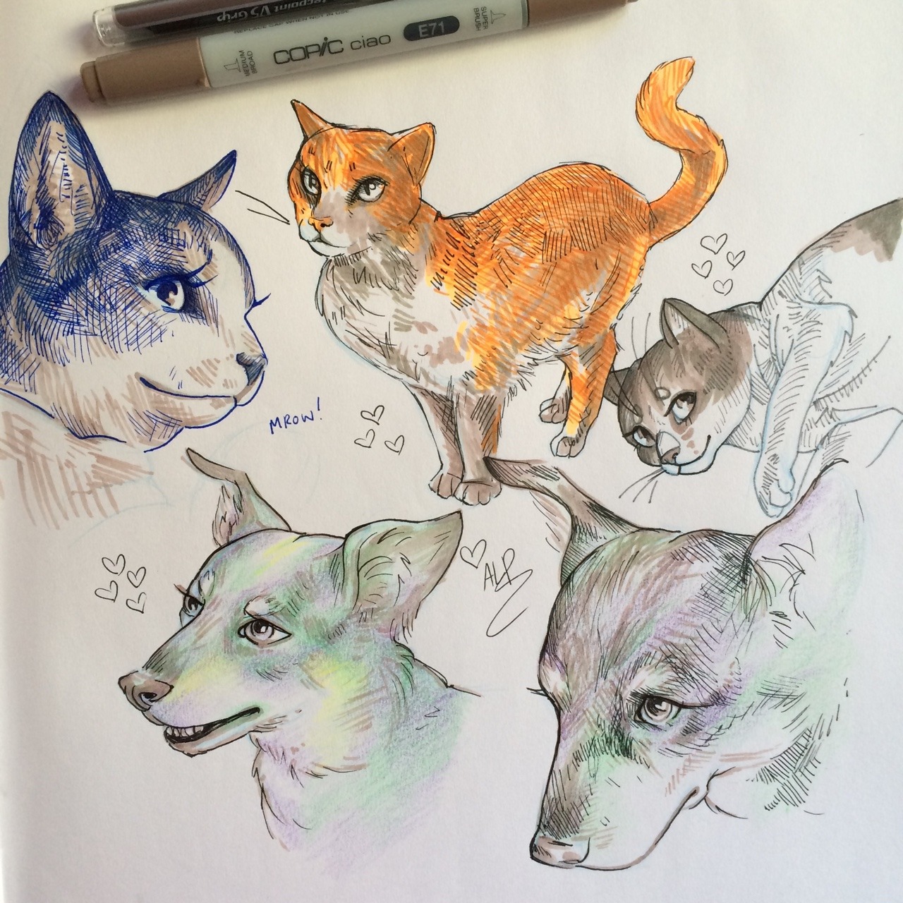 albinwonderland:  some pet doodles from my sketchbook! lots of Mim Mim because she’s