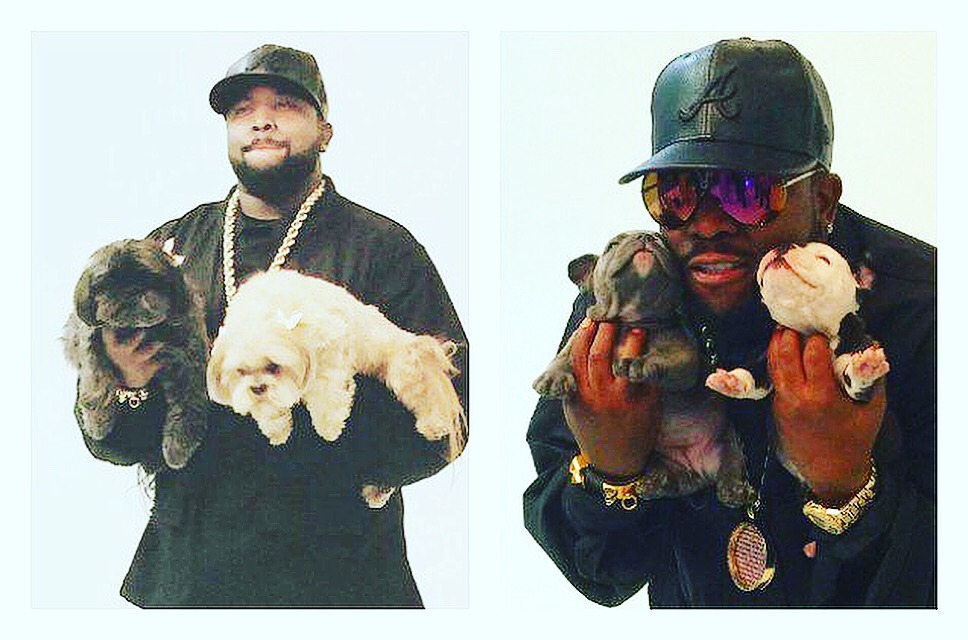 bigboi:  Unbelievabullbulldogs.com 