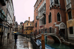 wildstag:Venezia. by coloreda24 on Flickr.