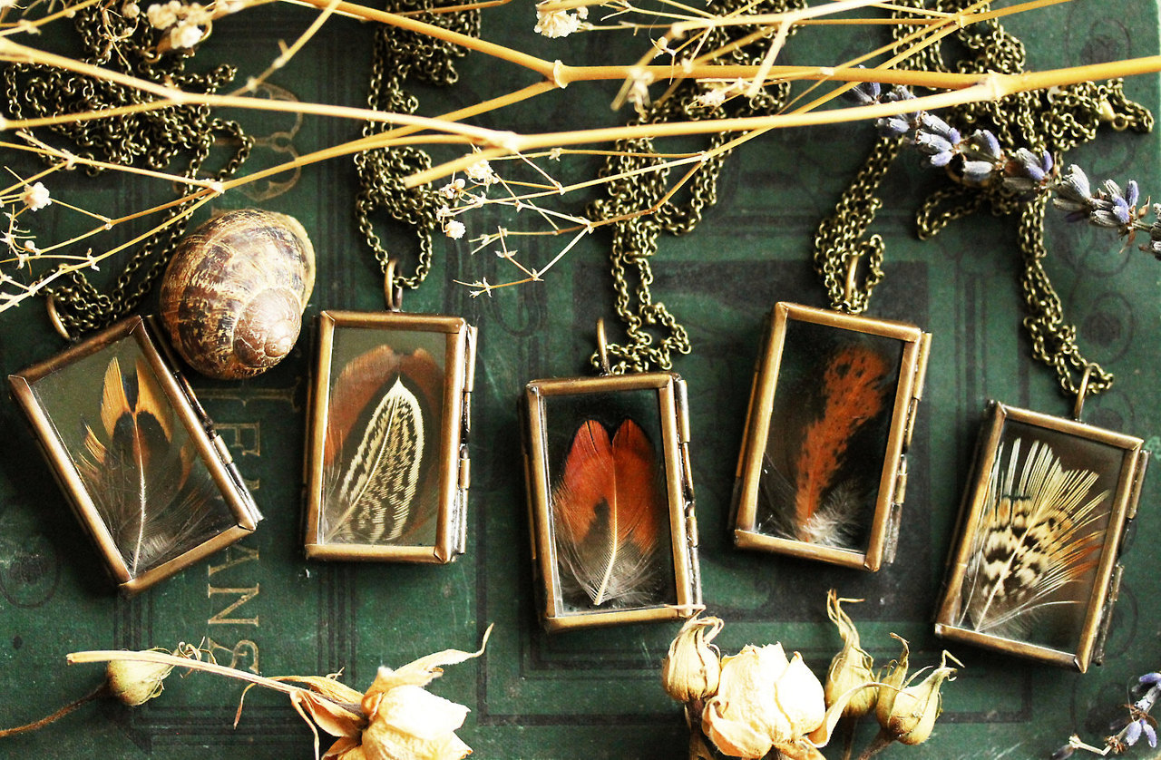 wordsnquotes:  culturenlifestyle: Romantic Crystal &amp; Terrarium  Encapsulated