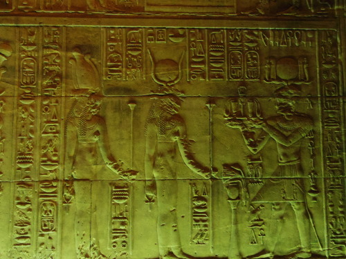 My trip in Egypt -Philae temple, Abu simbil two temples- Aswanスケールがデカすぎる。アブシンベル神殿は内部撮影禁止です。ラムセス２世が建て